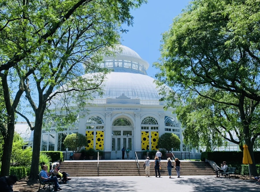 IMG_4674.jpg?type=w966