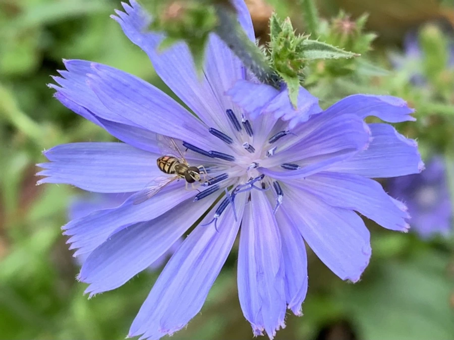 IMG_4487.jpg?type=w966