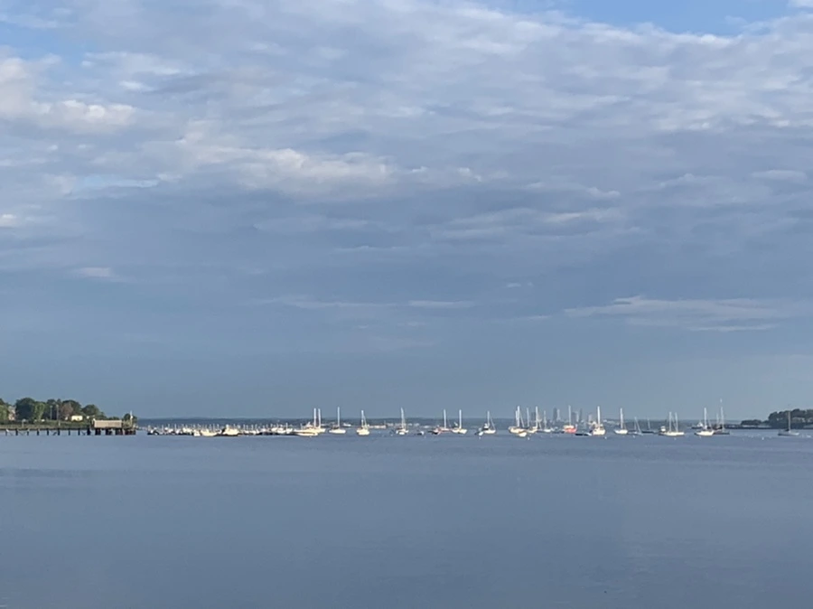 IMG_7728.jpg?type=w966