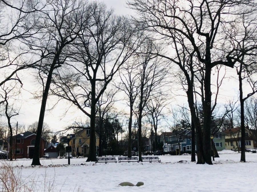 IMG_2906.jpg?type=w966