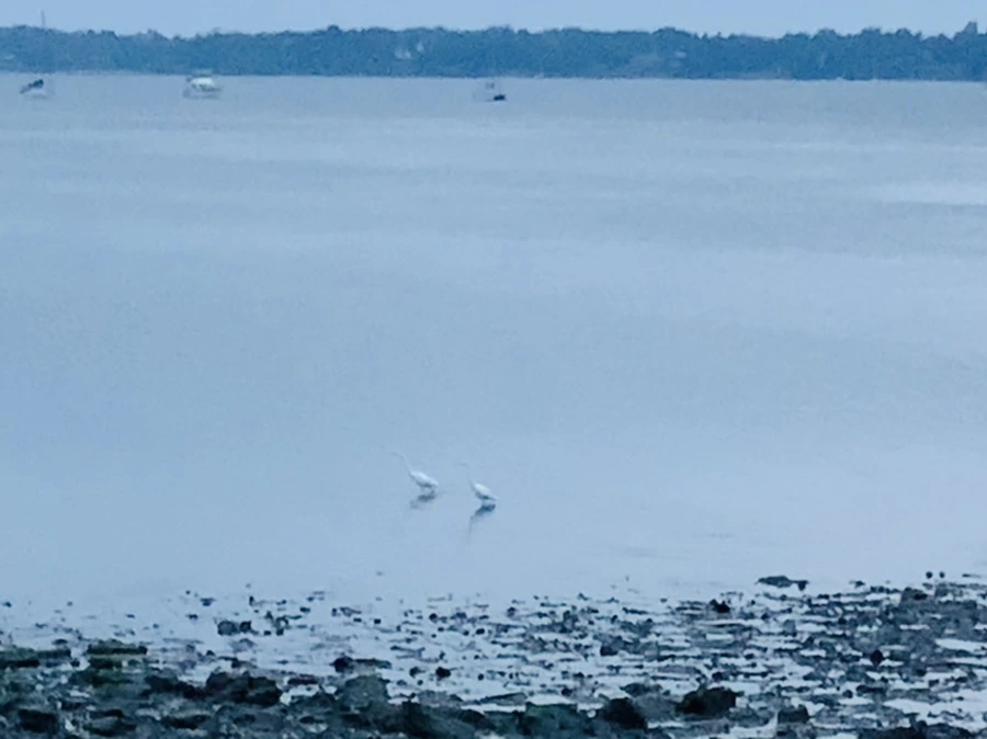 IMG_0699.jpg?type=w966