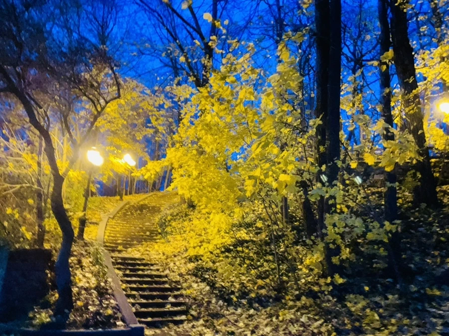 IMG_6520.jpg?type=w966