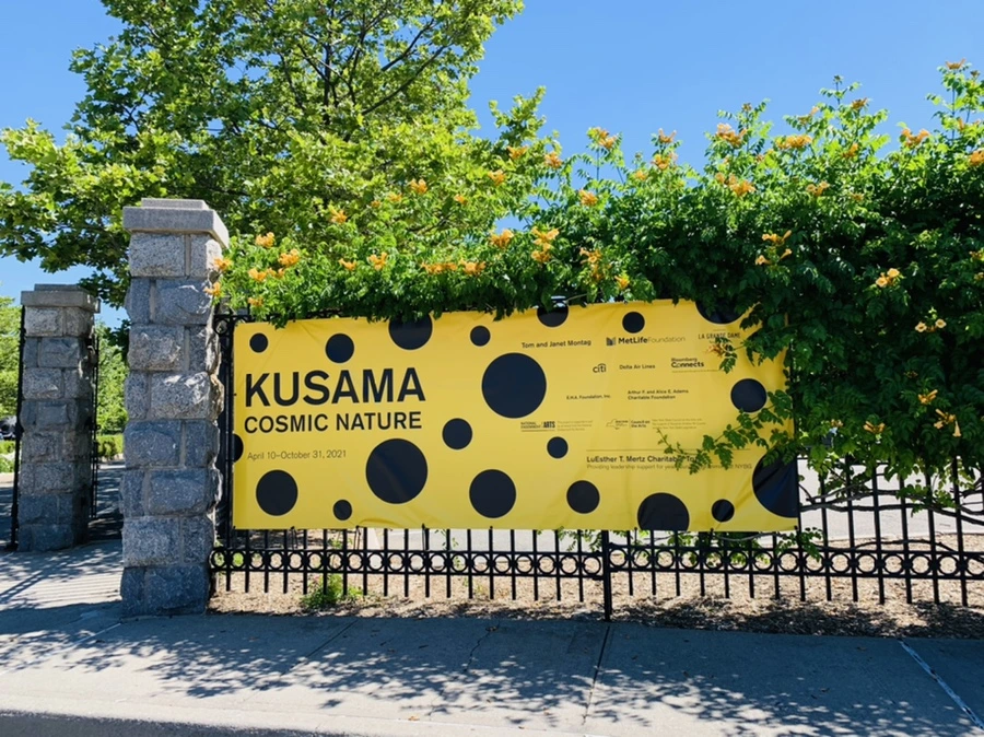 IMG_6533.jpg?type=w966