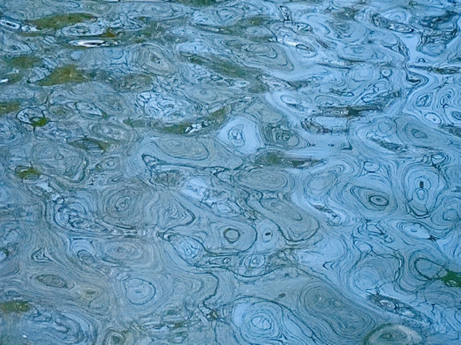 IMG_7552.jpg?type=w966