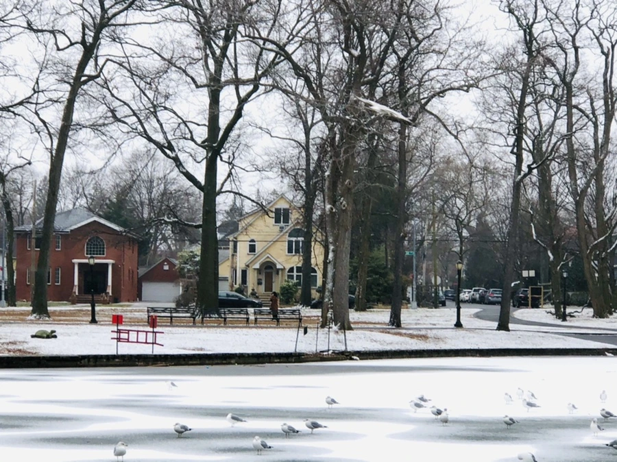 IMG_6293.jpg?type=w966