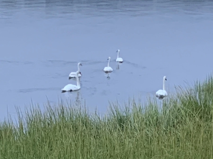 IMG_6642.jpg?type=w966