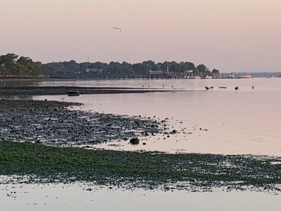 IMG_0136.jpg?type=w966