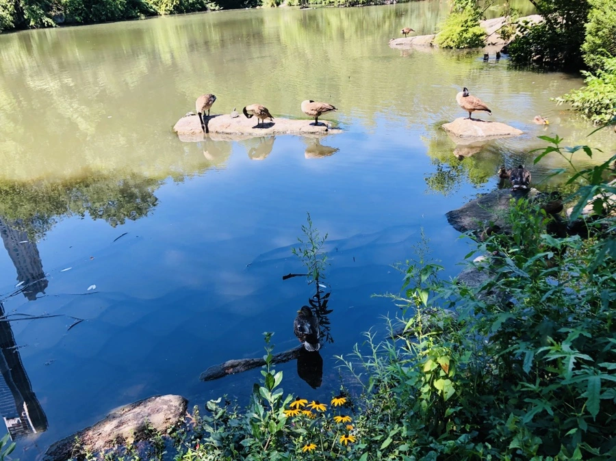 IMG_5706.jpg?type=w966