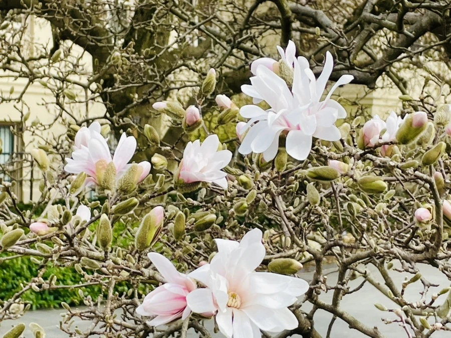 IMG_6702.jpg?type=w966