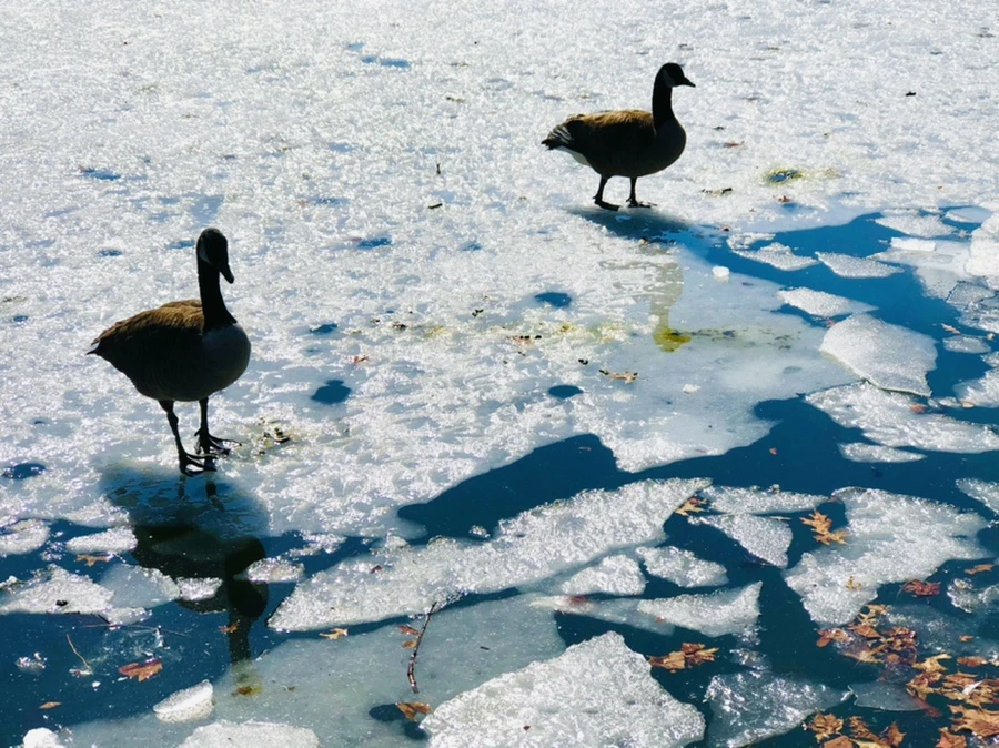 IMG_5056.jpg?type=w966