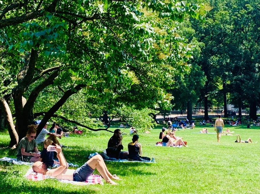 IMG_5394.jpg?type=w966