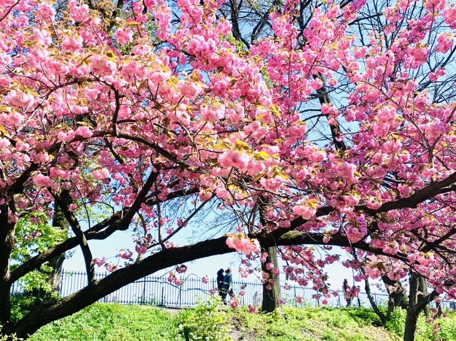 IMG_5825.jpg?type=w966