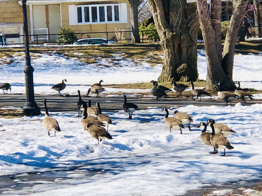 IMG_4854.jpg?type=w966