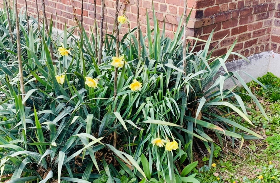 IMG_6380.jpg?type=w966