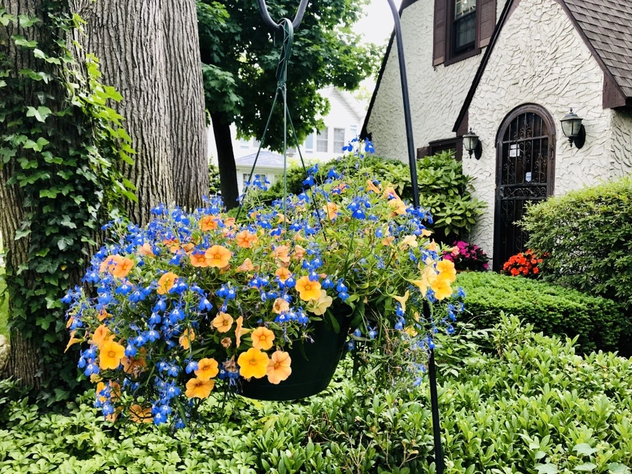 IMG_8899.jpg?type=w966