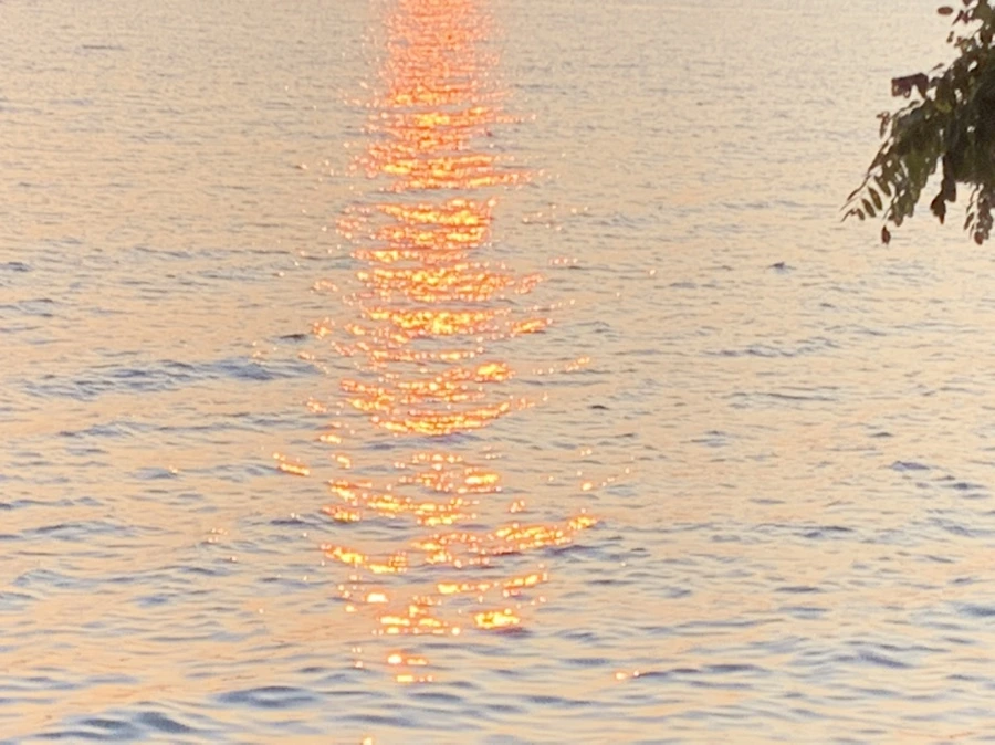 IMG_5477.jpg?type=w966