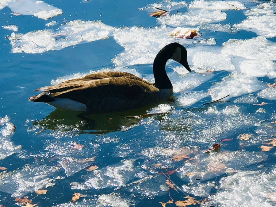 IMG_5086.jpg?type=w966