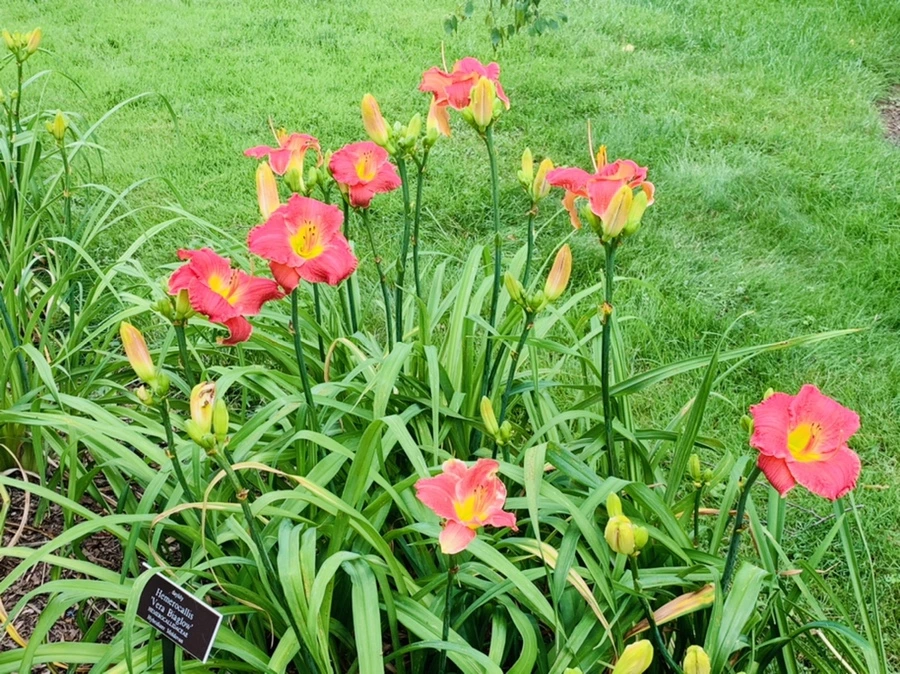 IMG_2571.jpg?type=w966