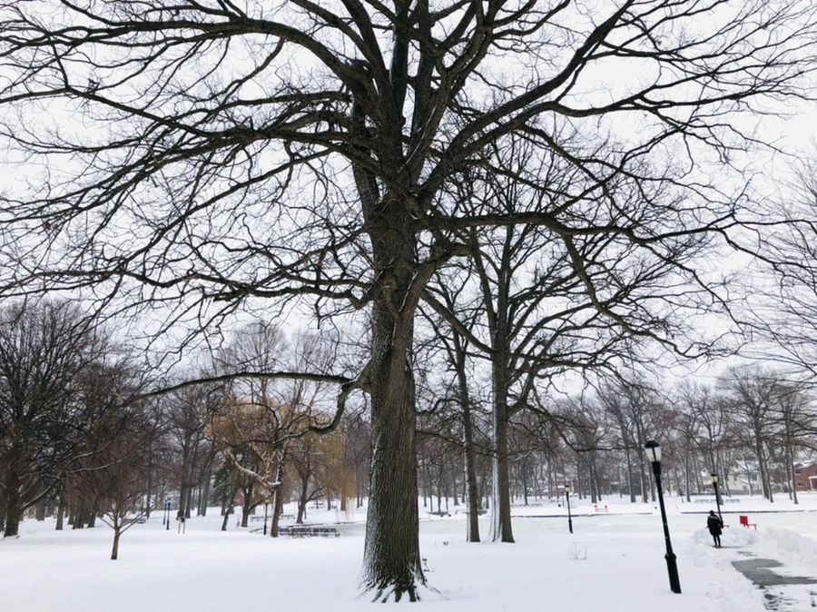 IMG_8955.jpg?type=w966