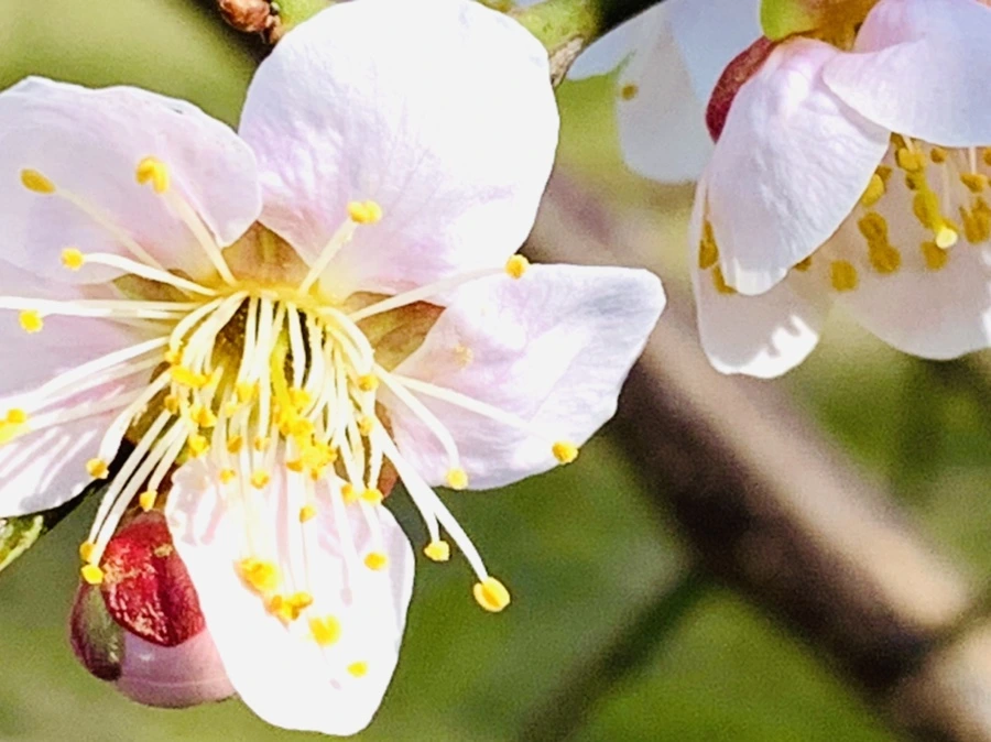 IMG_0995.jpg?type=w966