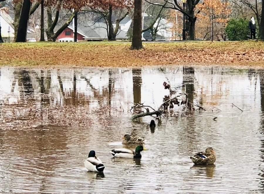 IMG_3393.jpg?type=w966