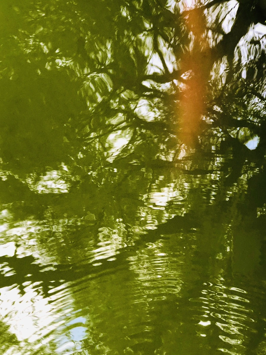 IMG_4010.jpg?type=w966