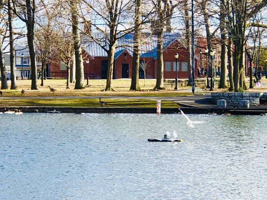 IMG_9229.jpg?type=w966