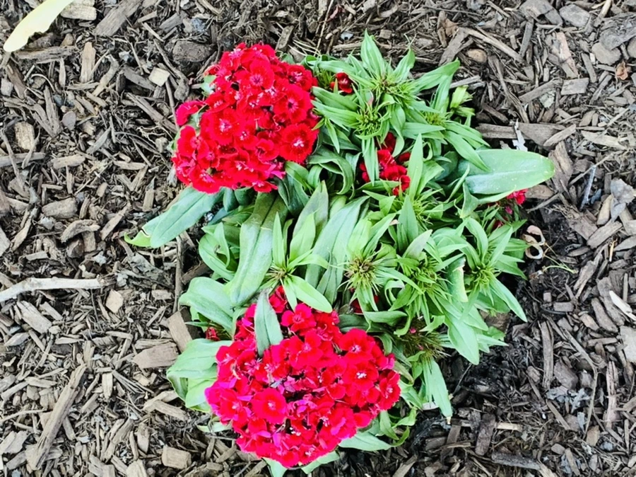 IMG_1922.jpg?type=w966