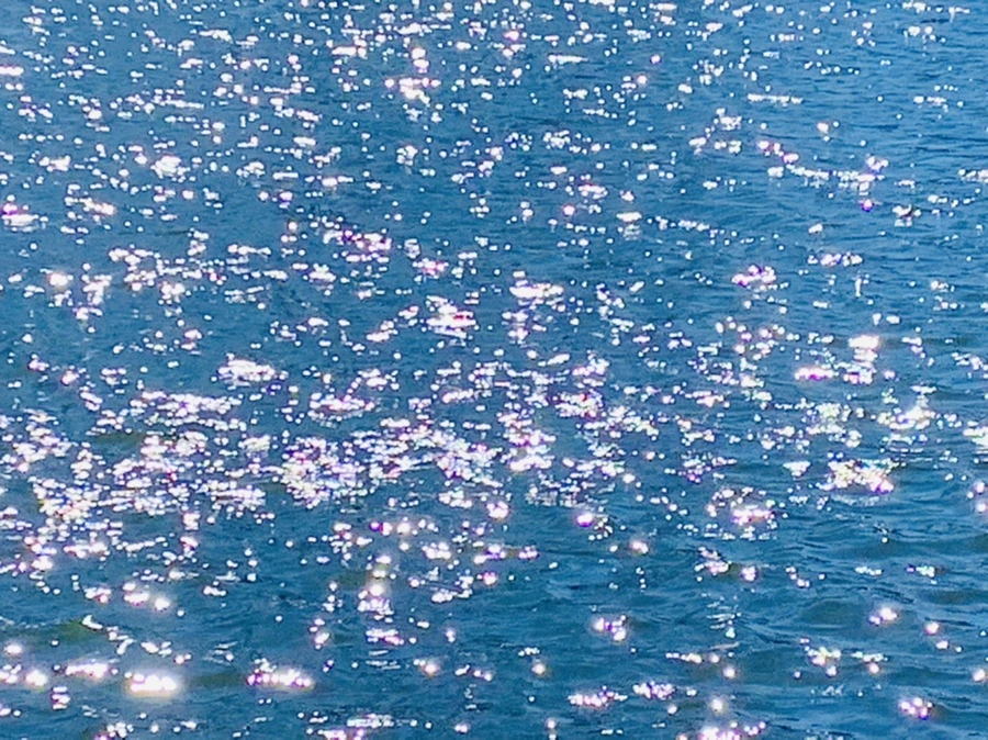 IMG_7565.jpg?type=w966