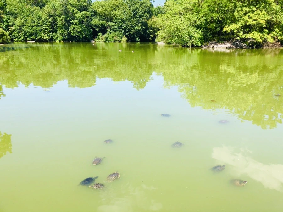 IMG_5733.jpg?type=w966