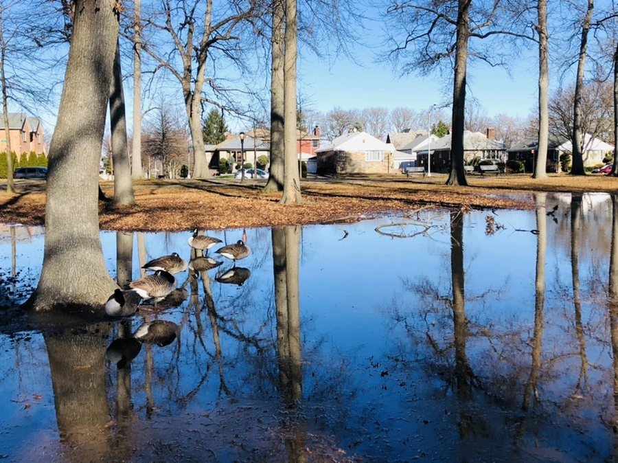 IMG_9781.jpg?type=w966