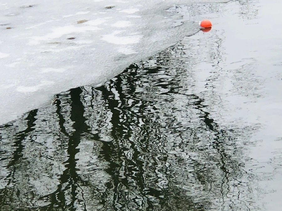 IMG_6490.jpg?type=w966