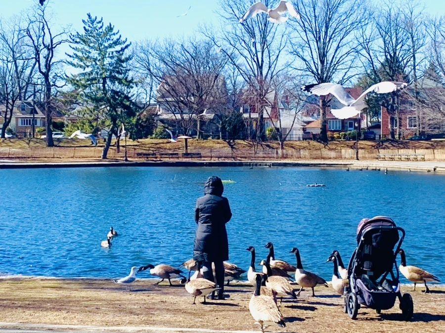 IMG_6681.jpg?type=w966