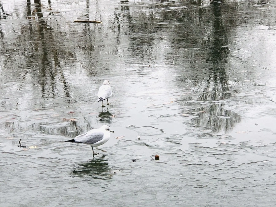 IMG_3143.jpg?type=w966