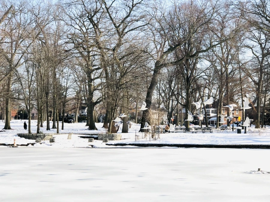 IMG_0272.jpg?type=w966