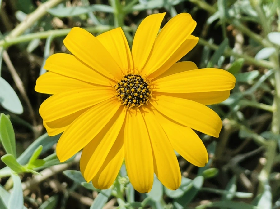 IMG_4225.jpg?type=w966