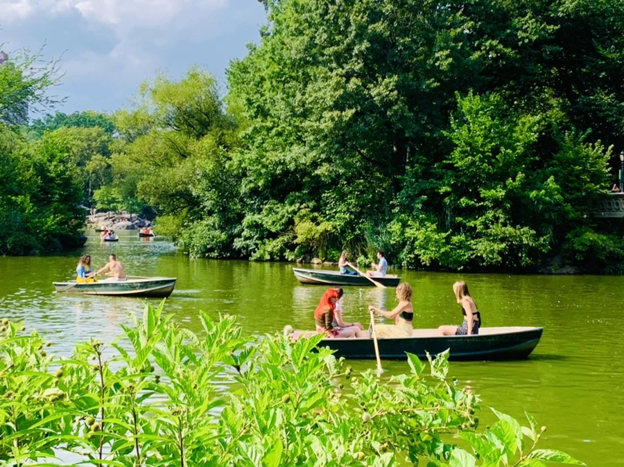 IMG_0657.jpg?type=w966