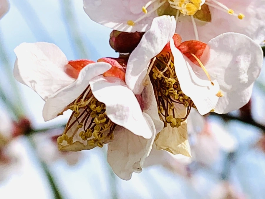 IMG_4005.jpg?type=w966