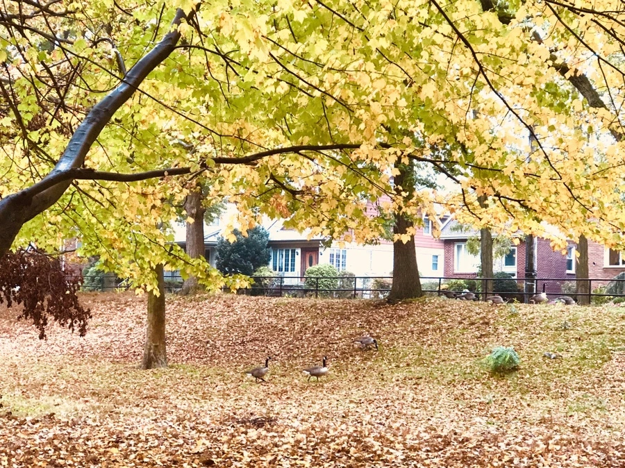 IMG_2944.jpg?type=w966