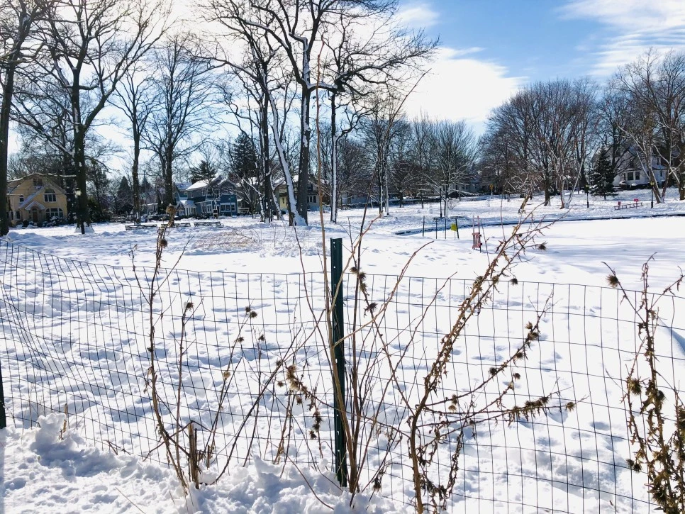 IMG_1285.jpg?type=w966