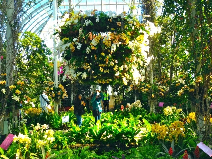 IMG_2923.JPG?type=w2