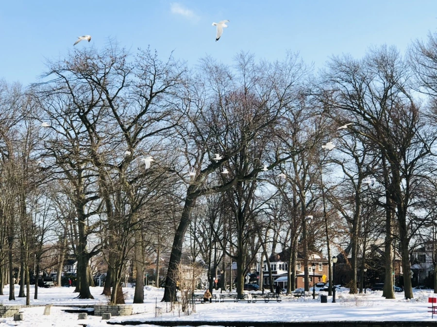 IMG_0286.jpg?type=w966