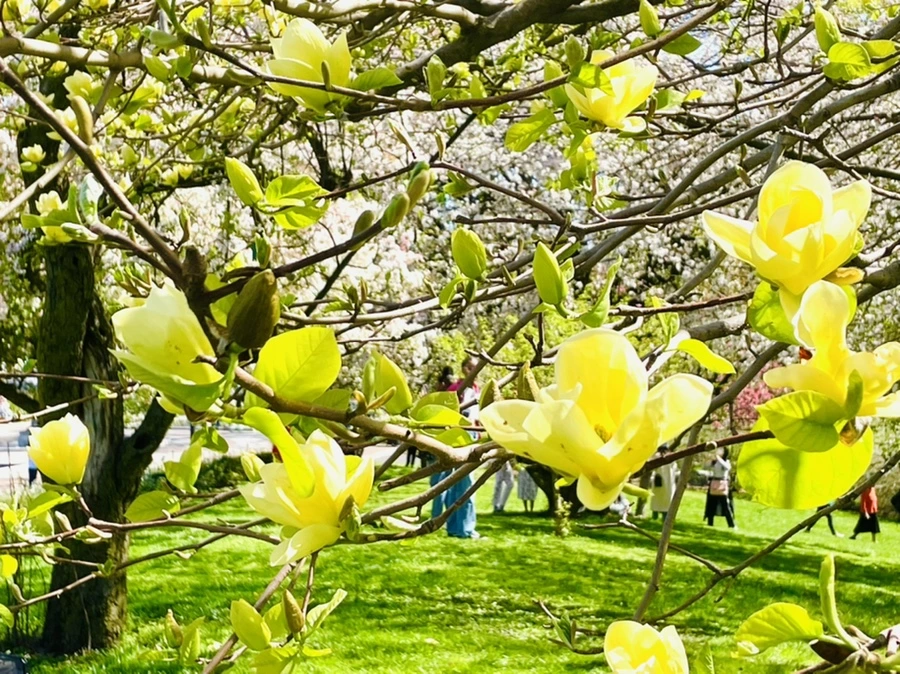 IMG_2023.jpg?type=w966