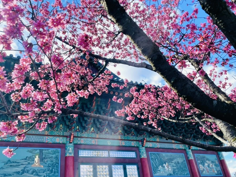 IMG_6199.jpg?type=w966