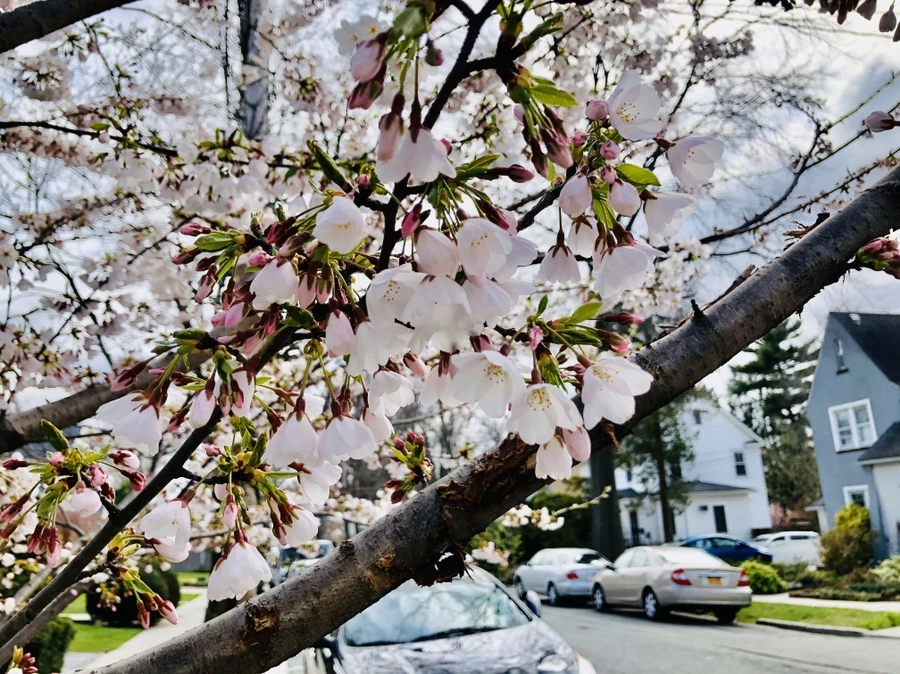 IMG_6742.jpg?type=w966