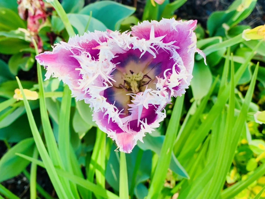 IMG_0649.jpg?type=w966