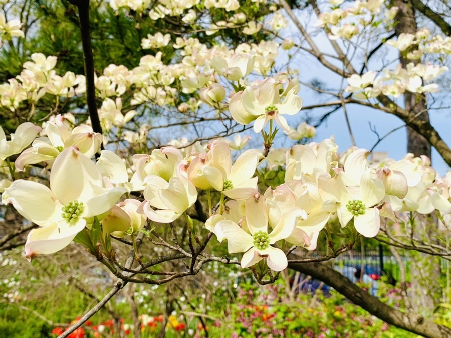 IMG_7016.jpg?type=w966