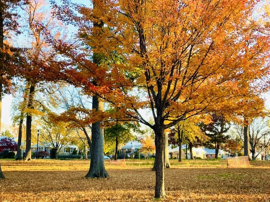 IMG_4094.jpg?type=w966