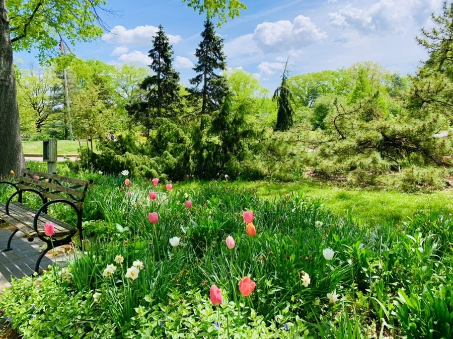 dXUDzKhcSH5AtNTYwgSCqOpg3uk