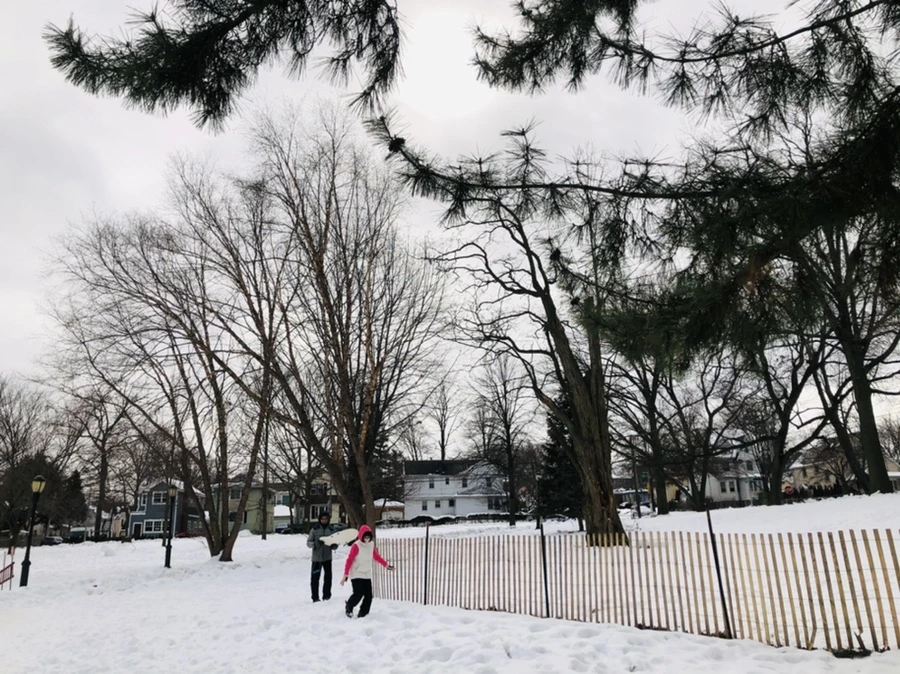 IMG_2609.jpg?type=w966